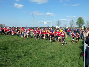 全国青少年劳动体育竞赛各项赛事激烈进行，全国青少年劳动体育竞赛各项赛事激烈进行的原因