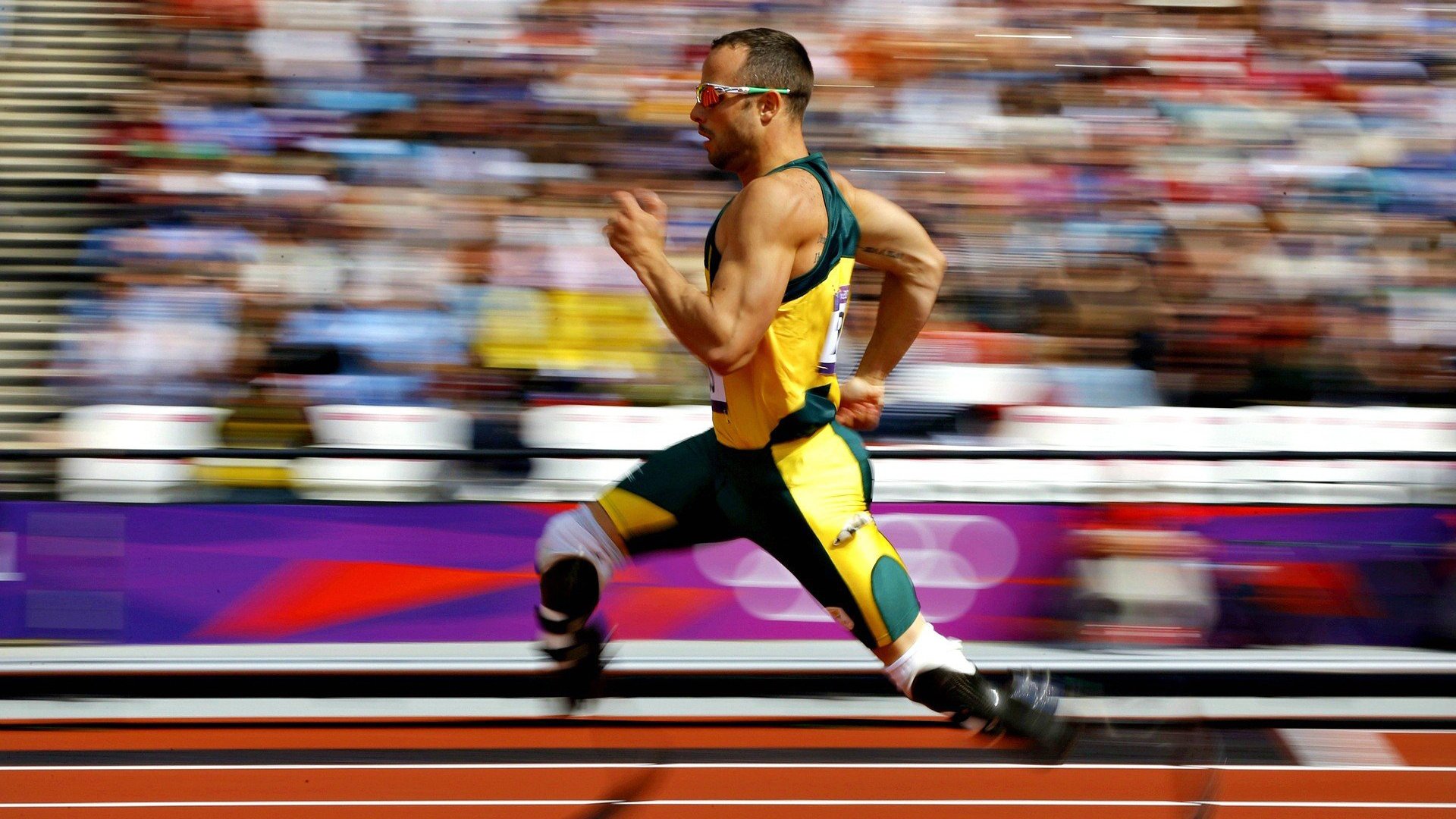 女子蝶泳划频节奏变化曲线对比图，女子蝶泳100